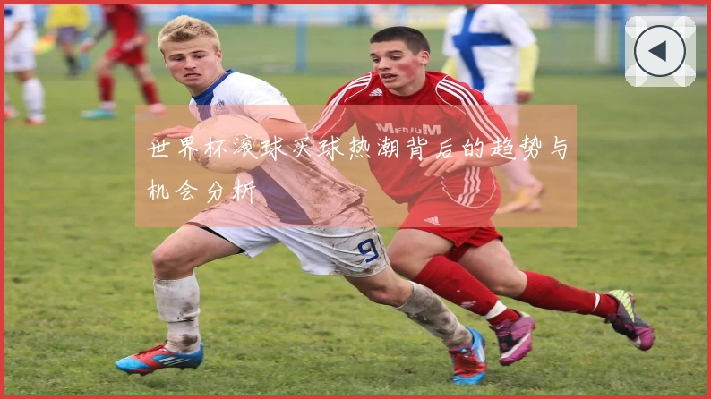 世界杯滚球买球热潮背后的趋势与机会分析