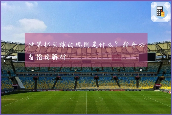 世界杯买球的规则是什么？新手必看指南解析