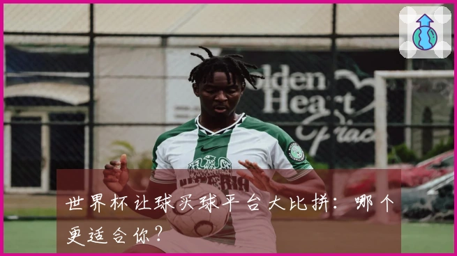 世界杯让球买球平台大比拼：哪个更适合你？