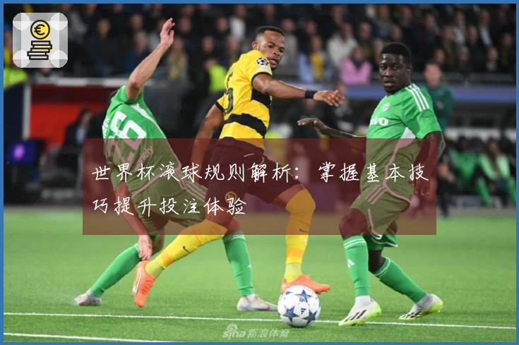 世界杯滚球规则解析：掌握基本技巧提升投注体验