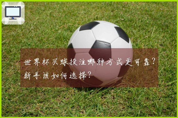 世界杯买球投注哪种方式更可靠？新手该如何选择？