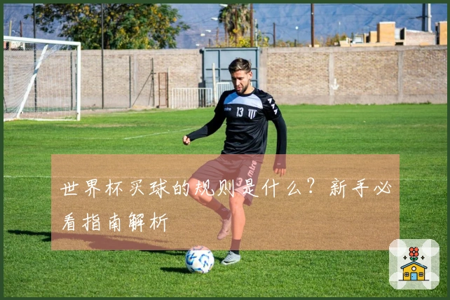 世界杯买球的规则是什么？新手必看指南解析