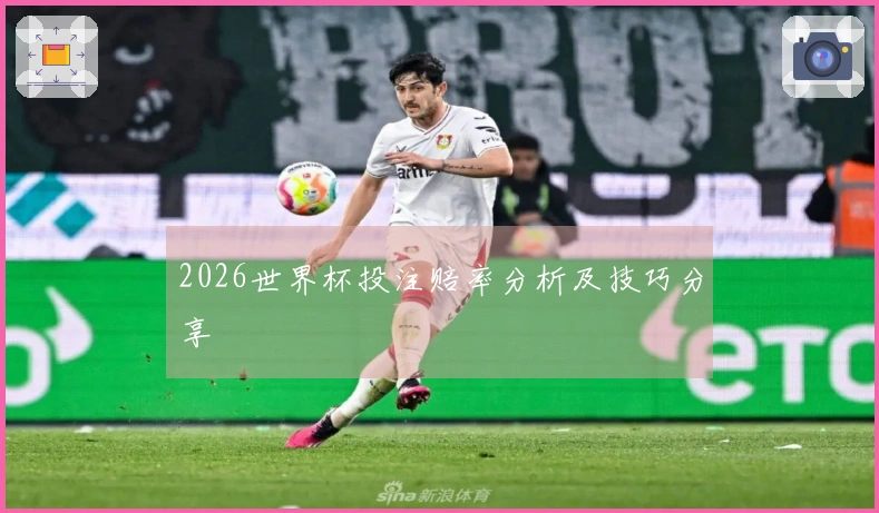 2026世界杯投注赔率分析及技巧分享