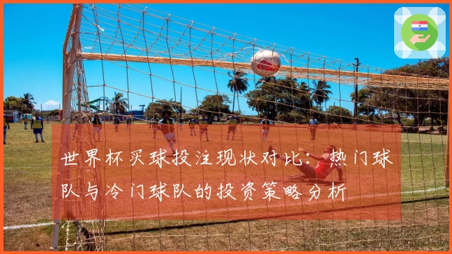世界杯买球投注现状对比：热门球队与冷门球队的投资策略分析